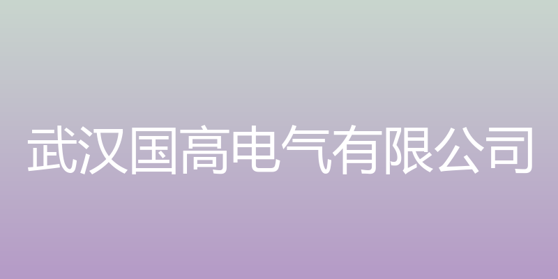 武汉国高电气有限公司